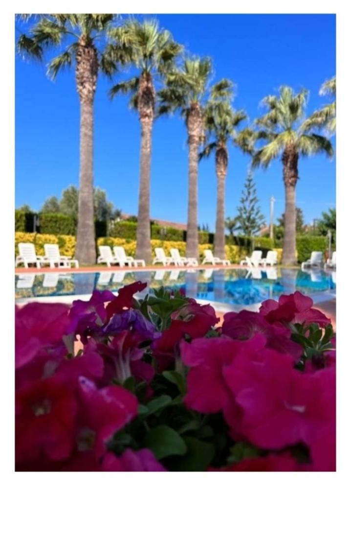 Villa Laura Residence Hotel Apartments & Studios Ascea Exterior foto